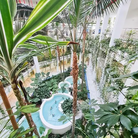 Beautiful In Benalbeach Apartment